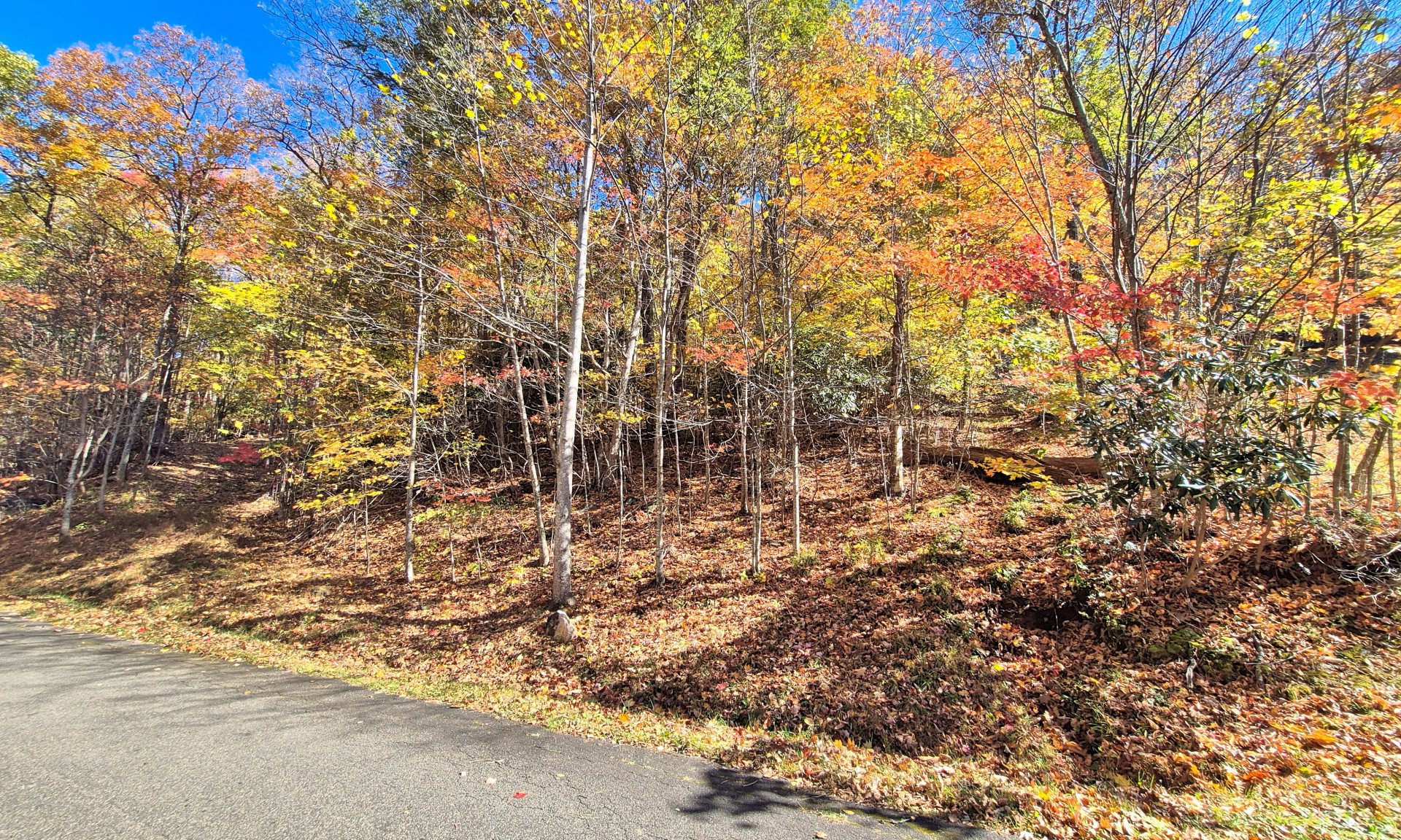 NC Mountain Homesite Available West Jefferson